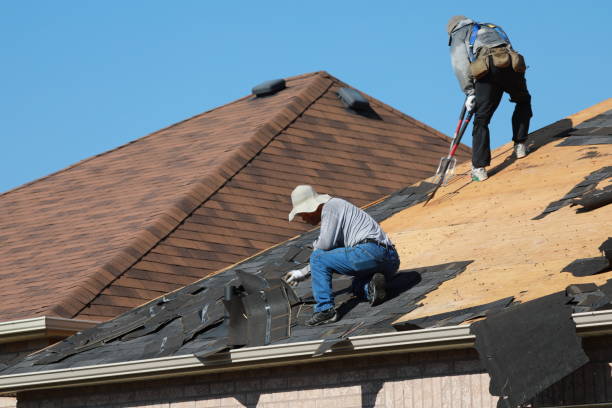 Best Roof Leak Repair  in Escatawpa, MS