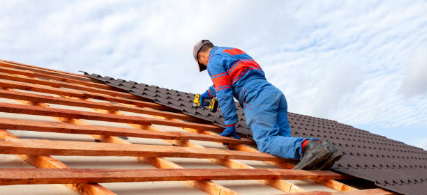 Best Asphalt Shingle Roofing  in Escatawpa, MS